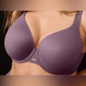 Cacique Purple Bra